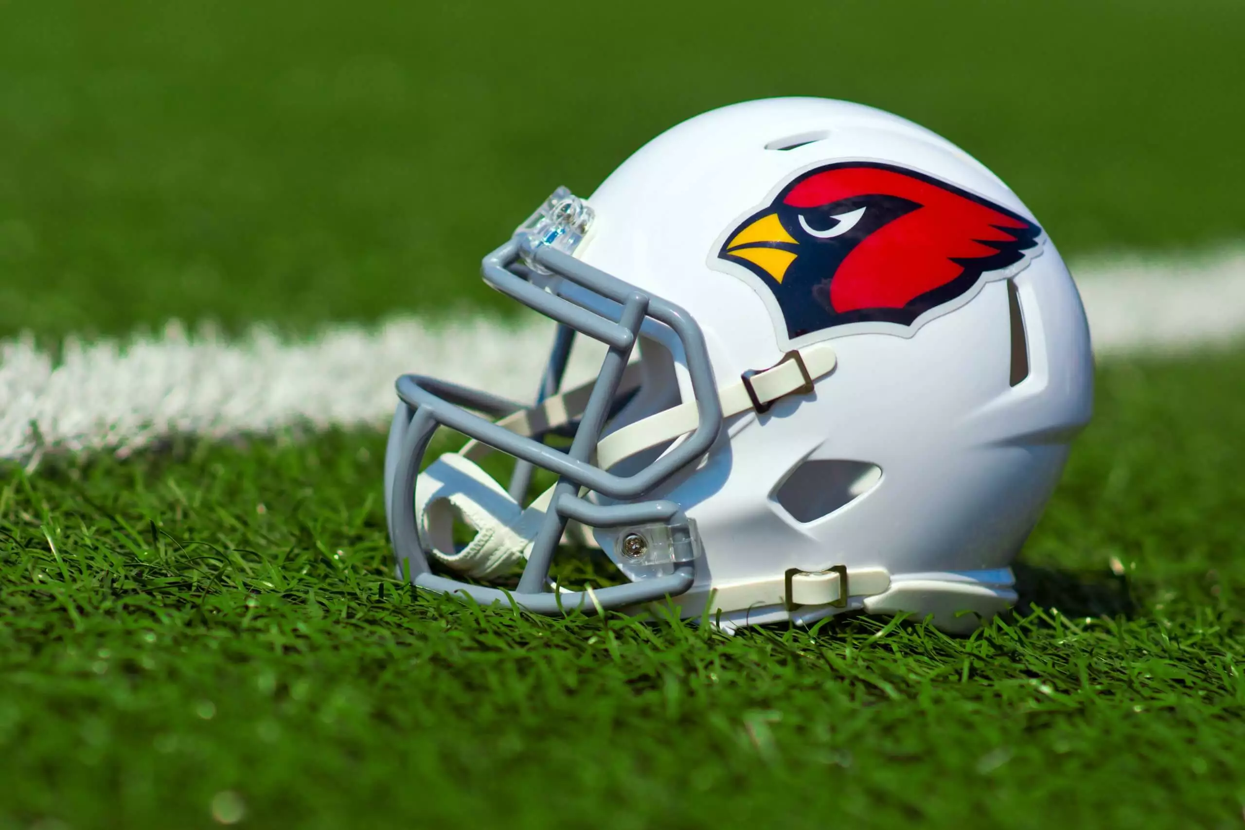 NFL Executive Appealing Gambling Suspension