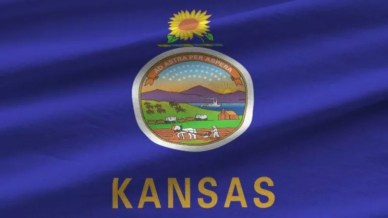 Kansas Flag